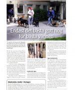 article_tidning_19